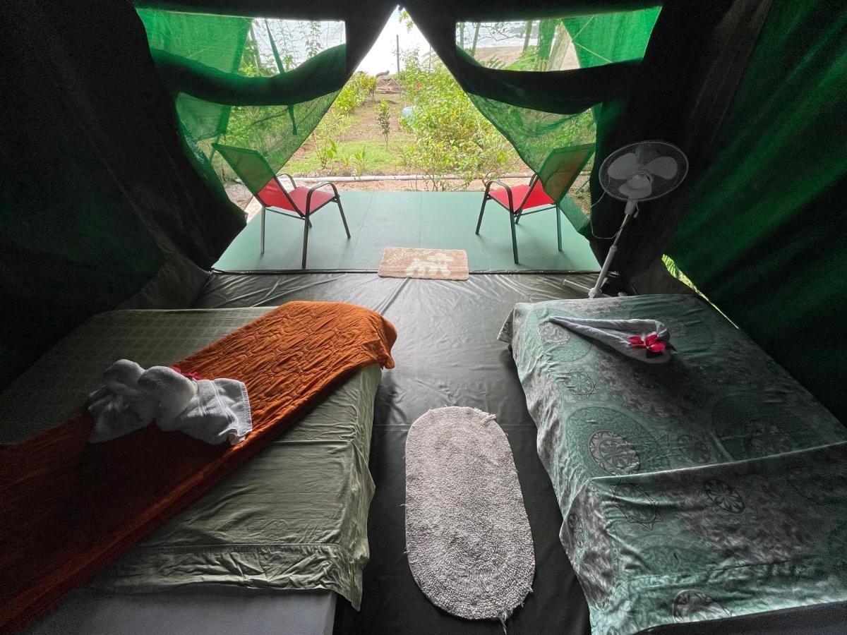 Hostel Corcovado Adventures Drakes Bay Exteriér fotografie