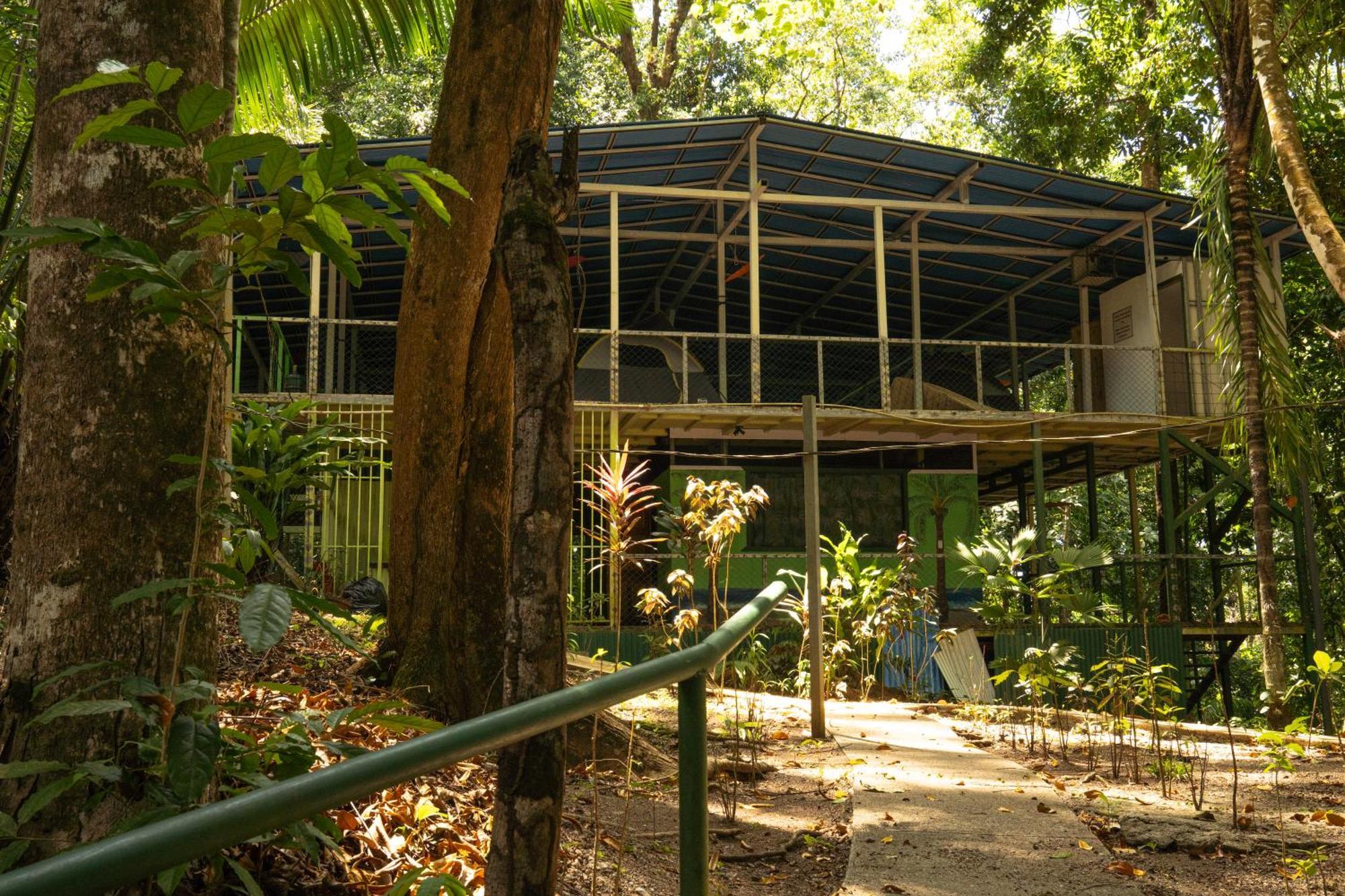 Hostel Corcovado Adventures Drakes Bay Exteriér fotografie